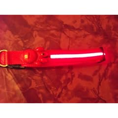 Rotes Nylon Hundehalsband mit roten LED. In Gr��e XL 40-62cm + 2 Ersatzbatterien !! Versandkostenfrei innerhalb Deutschland