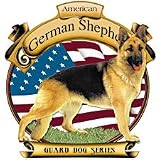 American German Shepherd Womens Scoop Neck T-Shirt