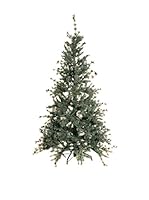 Evergreens Árbol De Navidad Colorado Verde