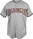 Washington Nationals Road Grey Youth MLB Replica Jersey