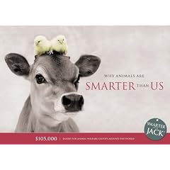 Why Animals are Smarter Than Us (Smarter Than Jack)