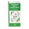 Colorado Trees & Wildflowers: An Introduction to Familiar Species (State Nature Guides)