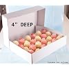 4" Deep Strong White Cupcake Box. Holds 24 Cupcakes, Muffins, Mince Pies