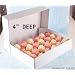 4" Deep Strong White Cupcake Box. Holds 24 Cupcakes, Muffins, Mince Pies