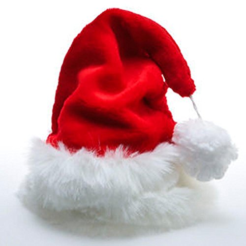 Professional Santa Hat