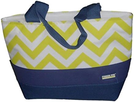 Fridge Pak Fully Insulated Cooler Tote Lunch Box Blue Green Lunch Bag Lunchbox