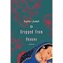 Dropped from Heaven: Stories