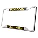 NCAA License Plate Frame Alumni