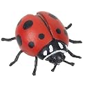 RED LADYBUG Hidden Kingdom Insects SAFARI LTD