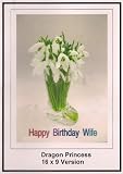 Dragon Princess: Greeting Card: Happy Birthday Wife