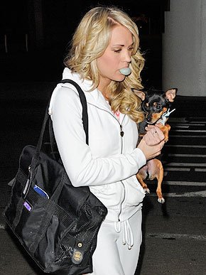 Sherpa Tote Around Town Pet Dog Cat Carrier Purse 