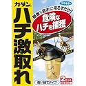 カダン ハチ激取れ 2セット入