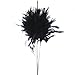 Group of 6 Whispy Deep Black Ostrich Feather Stems for Weddings and Florals
