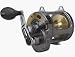 Shimano Tyrnos TYR30II Fishing Reel 2 Speed 4BB