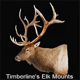 Elk Head Mount