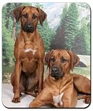 Rhodesian Ridgeback Mousepad