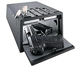 Search : Deluxe MiniVault with Motion Detector 14x10.1x7.9-6.3