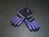 Heated Core Heat Snow Gloves Womens Purple(battery Powered, L