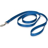PetSafe Nylon Leash, 3/4" x 6', Royal Blue