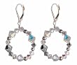 Crystal Loop Earrings