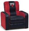 DreamSeat Chicago Bulls...