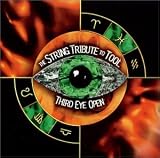 String Tribute to Tool
