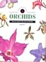 Identifying Orchids (Identifying : the New Compact Study Guide and Identifier)