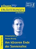 K&ouml;nigs Erl&auml;uterungen und Materialien, Bd.409, Am k&uuml;rzeren Ende der Sonnenallee - Thomas Brussig
