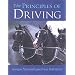 Horse and carriage driving