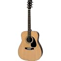 Eterna Full-size Folk Guitar Kit
