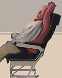 Visual Approach 1st Class Sleeper Cushion