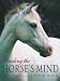 Reading the Horse's Mind