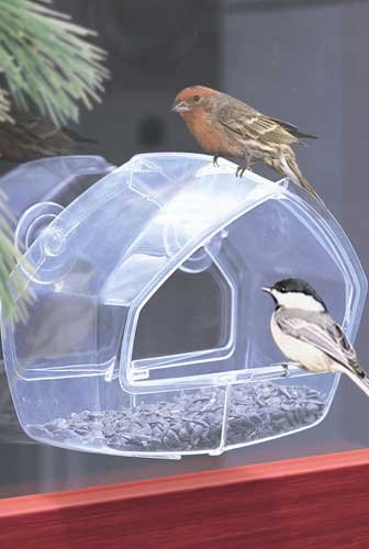 Perky Pet Crystal Clear to Fill