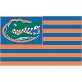 BSI Florida Gators Premium 3x5 Stripes Flag
