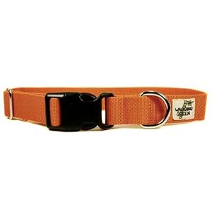 Designer Dog Collar - Bamboo Falling Leaves Double Layer Buckle Dog Collar - Orange - Large - Made in USA