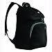 Pacsafe Women's Travel RoamSafe 100 Anti-theft Backpack - Black