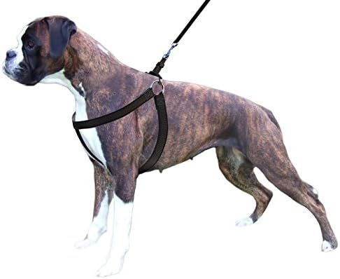 Premium Quality Dog Halter Harness With "Dog Comfort & Protection System" & FREE MATCHING LEASH, Non-Pull For MEDIUM TO LARGE BREEDS, Easy Step-In Fitting, Fully Adjustable, Padded, Strong, Flexible [Color - BLACK]