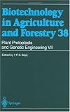 Plant Protoplasts and Genetic Engineering VII (Biotechnology in Agriculture and Forestry)