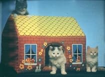 Cosi Cottage Novelty Pet Bed