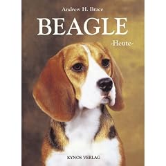 Beagle heute