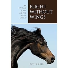Flight without Wings: The Arabian Horse and the Show World