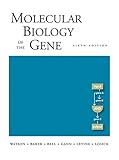 Molecular biology of the gene