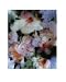 in the Mist II by Renee Young Fine Art Print / Poster 16.00 x 20.00 in.