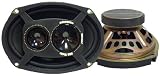 Pyramid 693SX 6-Inch x 9-Inch 300 Watts ThreeWay Speakers (Pair)
