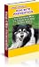 Dog Biting ? How to Stop Your Puppy or Older Dog from Biting.