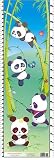 Child Growth Chart, Panda Version
