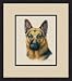 German Shepherd by Judy Gibson - Framed Artwork
