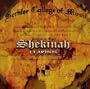 Shekinah: 13 Artists