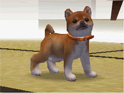 nintendogs 柴&フレンズ