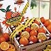 Extra Juicy HoneyBells